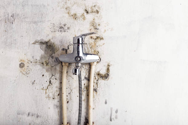 Water Damage Restoration in Los Altos Hills, CA
