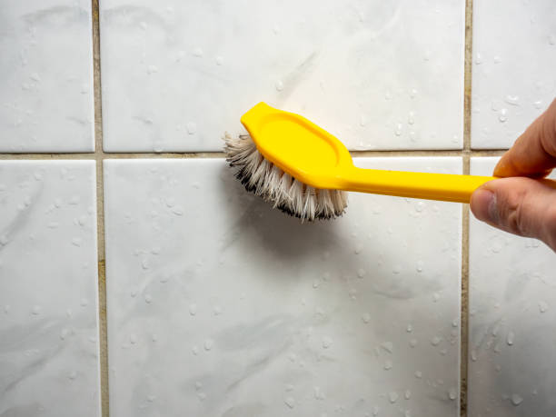  Los Altos Hills, CA Mold Removal Pros