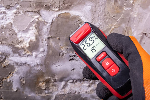 Best Best Mold Removal Companies  in Los Altos Hills, CA