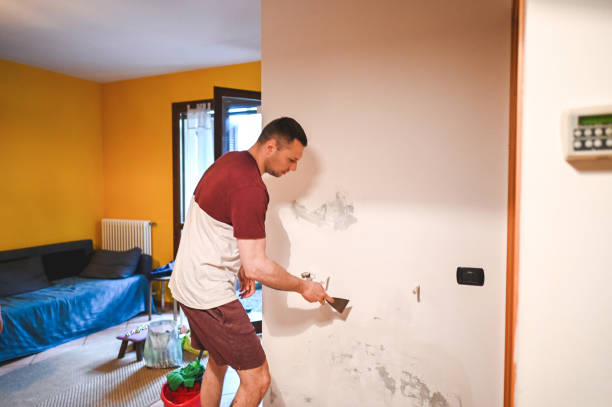 Best Local Mold Removal Service  in Los Altos Hills, CA